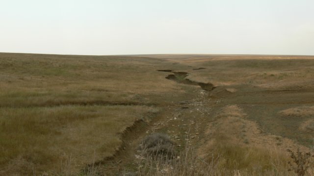 bedofintermittentriver.jpg