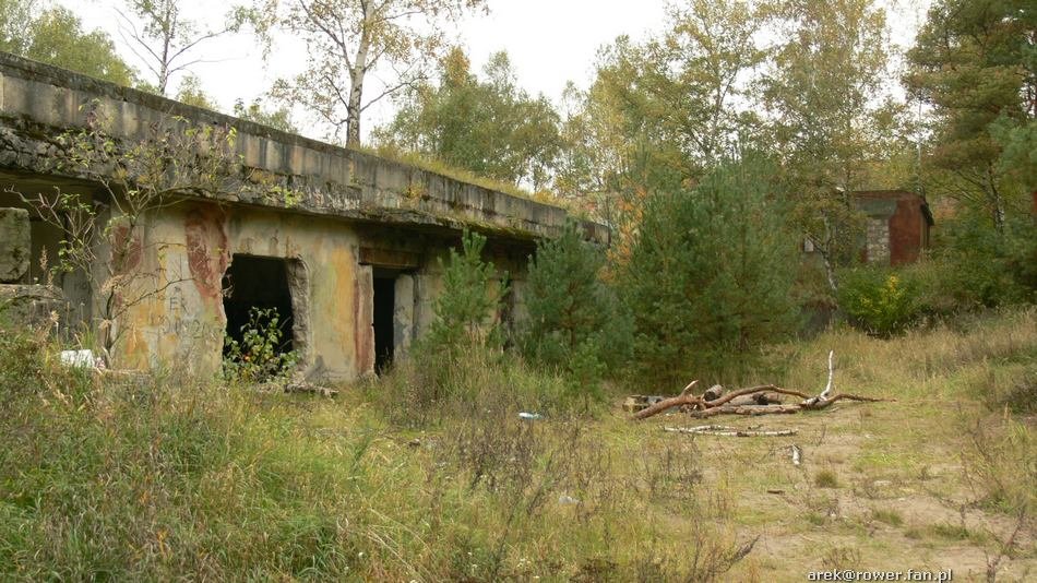 bunkierwwilkocinieelementynaziemne.jpg