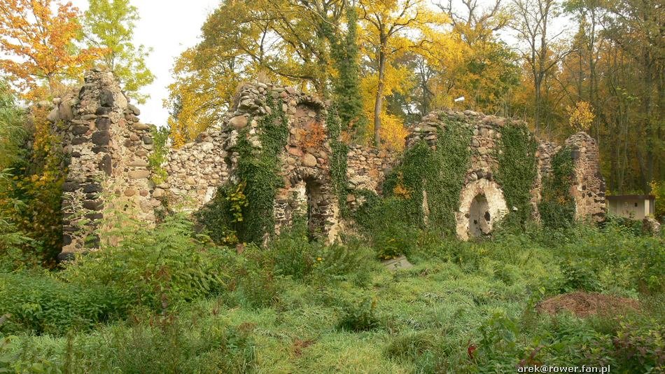 ruinykocioawjanazatonie.jpg